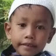 tokpet12.12